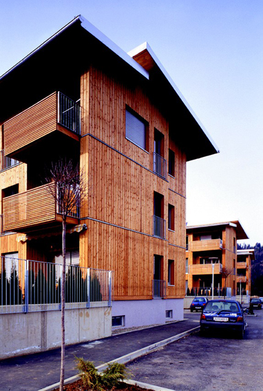 деревянное домостроение будущего